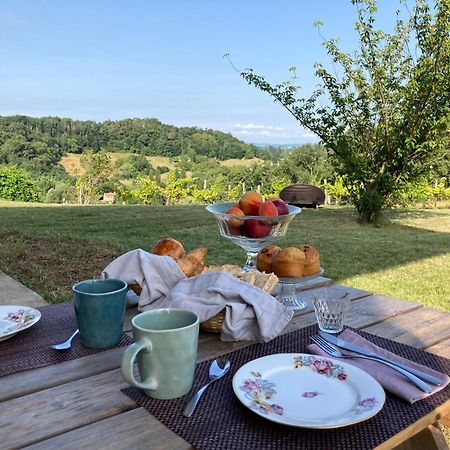 Hotel Domaine Labouroume Salies-de-Béarn Zewnętrze zdjęcie