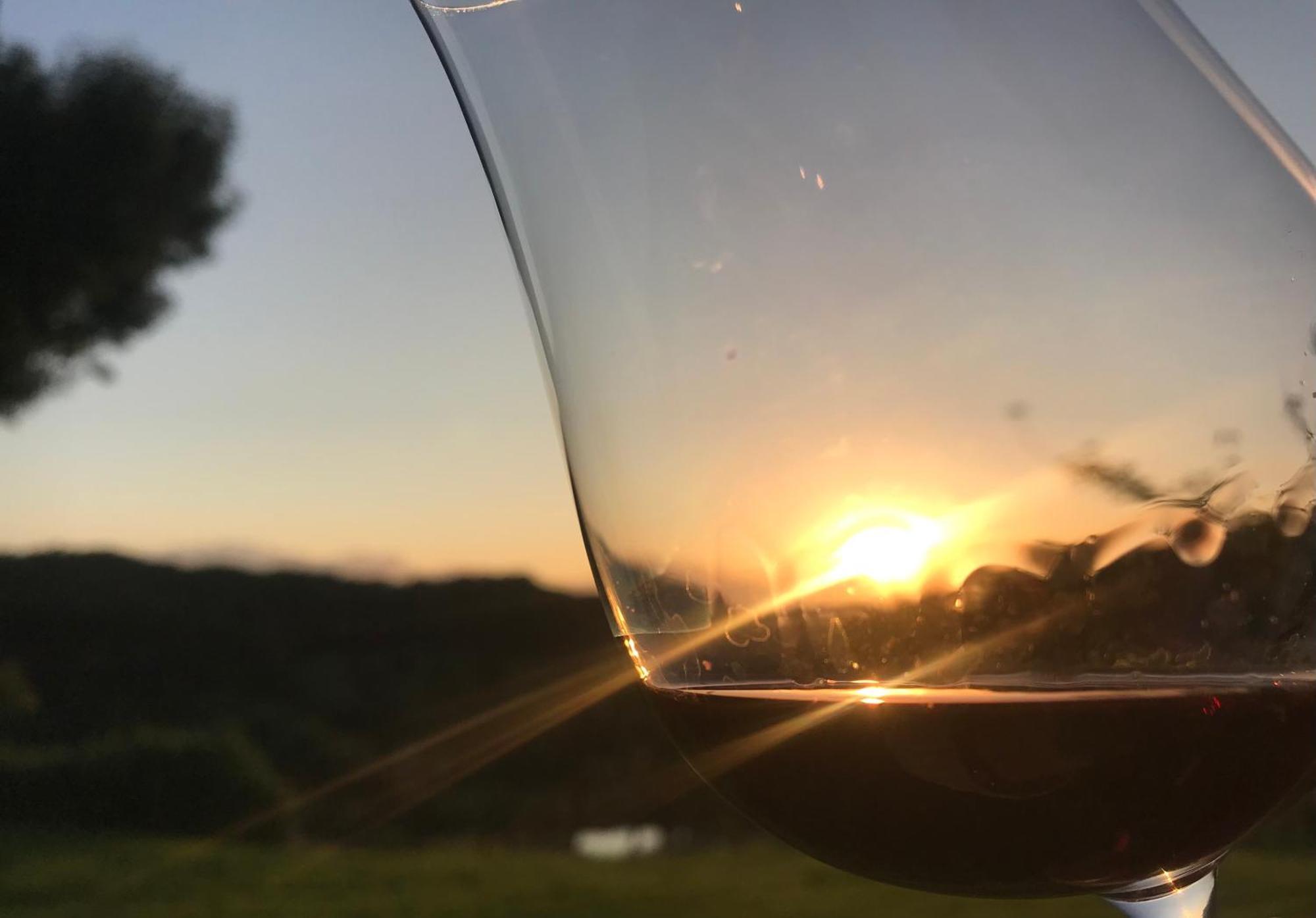 Hotel Domaine Labouroume Salies-de-Béarn Zewnętrze zdjęcie