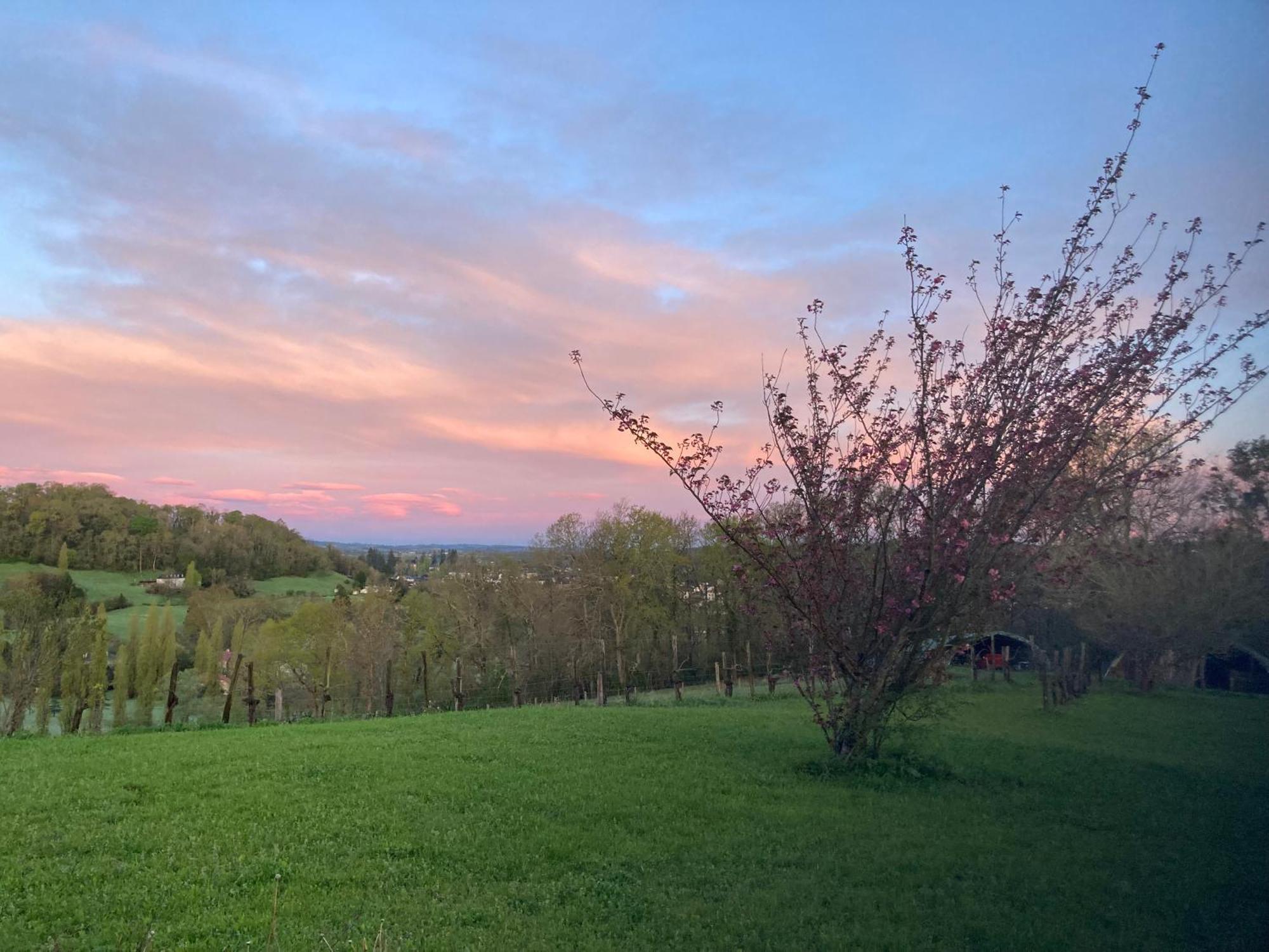 Hotel Domaine Labouroume Salies-de-Béarn Zewnętrze zdjęcie