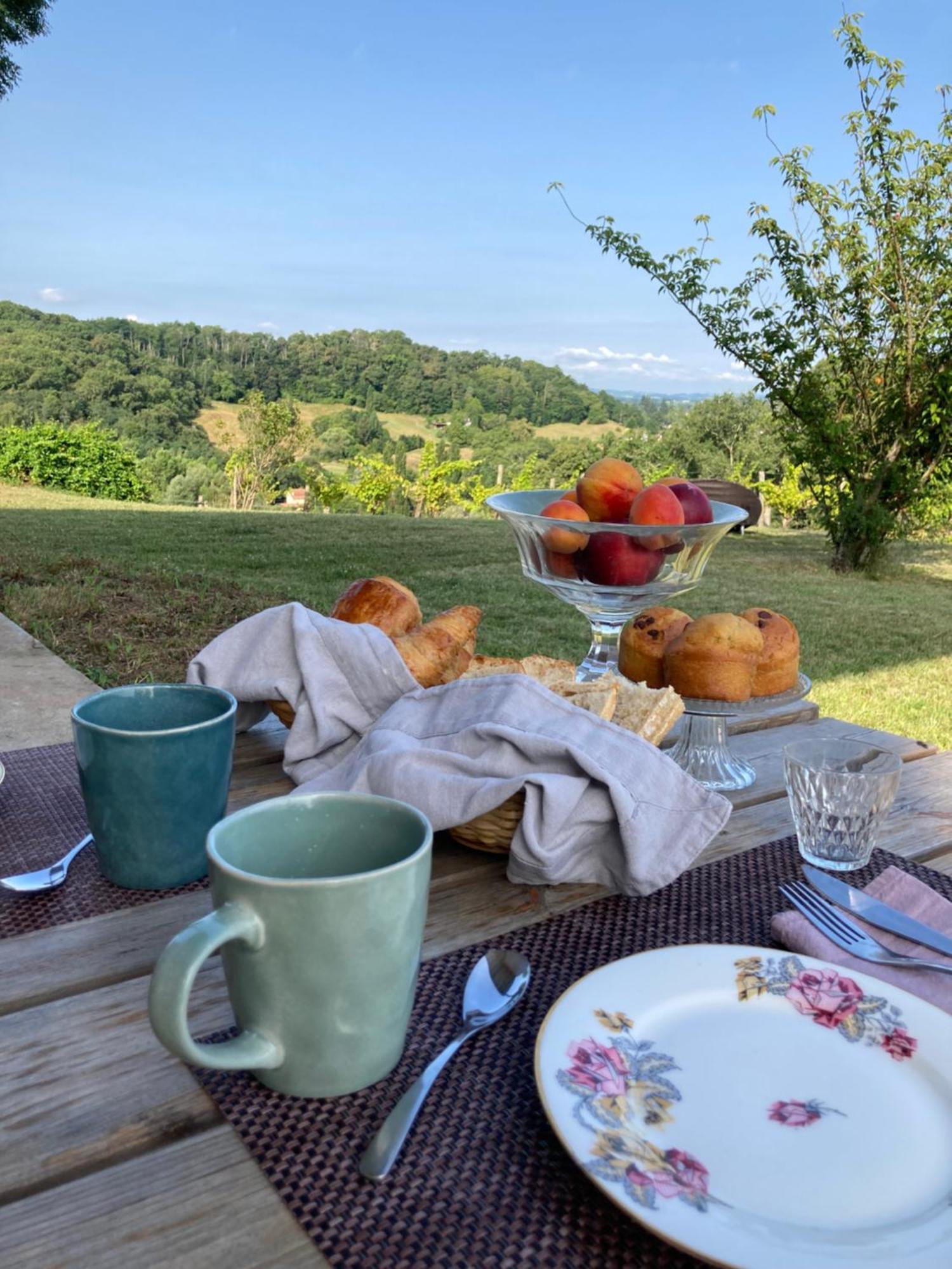 Hotel Domaine Labouroume Salies-de-Béarn Zewnętrze zdjęcie
